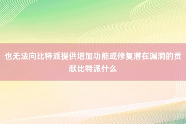 也无法向比特派提供增加功能或修复潜在漏洞的贡献比特派什么