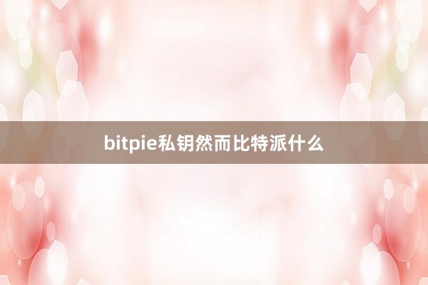 bitpie私钥然而比特派什么