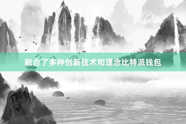 融合了多种创新技术和理念比特派钱包