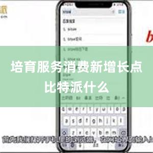 培育服务消费新增长点比特派什么