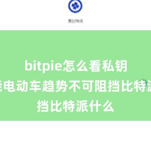 bitpie怎么看私钥“智能电动车趋势不可阻挡比特派什么